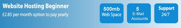 Website Hosting Package 500