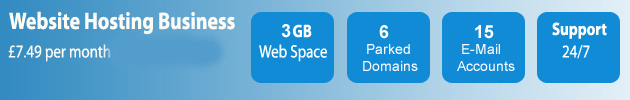 Web Hosting Business