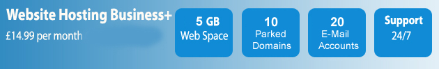 web hosting business plus
